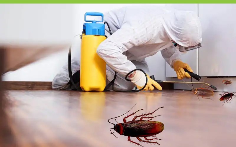 Invasion Intervention: The Role of Pest Exterminators in Residential Areas